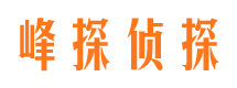 赤壁外遇调查取证